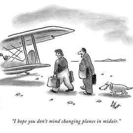 I Hope You Don't Mind Changing Planes In Midair by Frank Cotham
